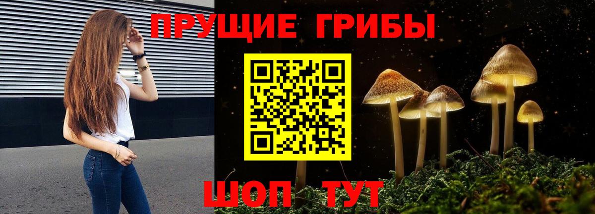 Псилоцибиновые грибы GOLDEN TEACHER Гусев