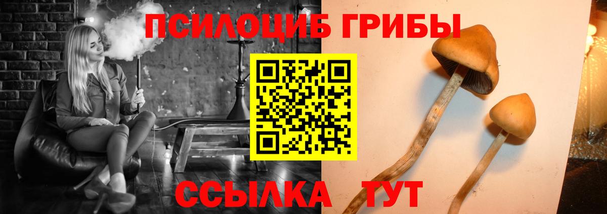 Гусев  Псилоцибиновые грибы MAGIC MUSHROOMS  купить закладку  Вход с VPN 